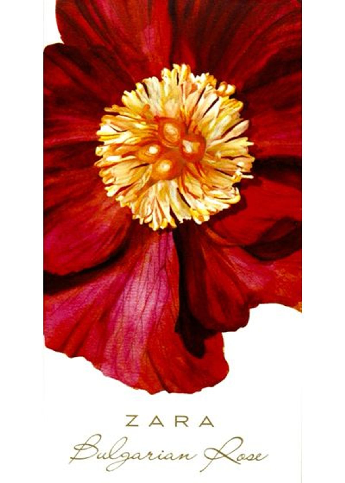 Bulgarian Rose