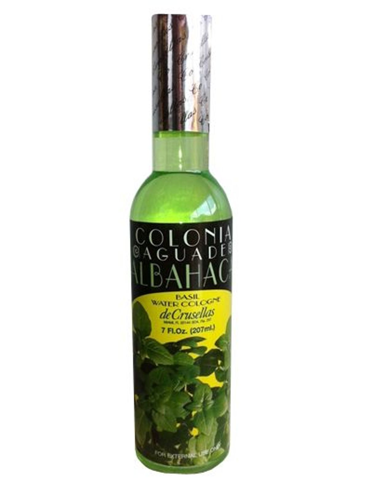 Colonia de Albahaca (Basil)