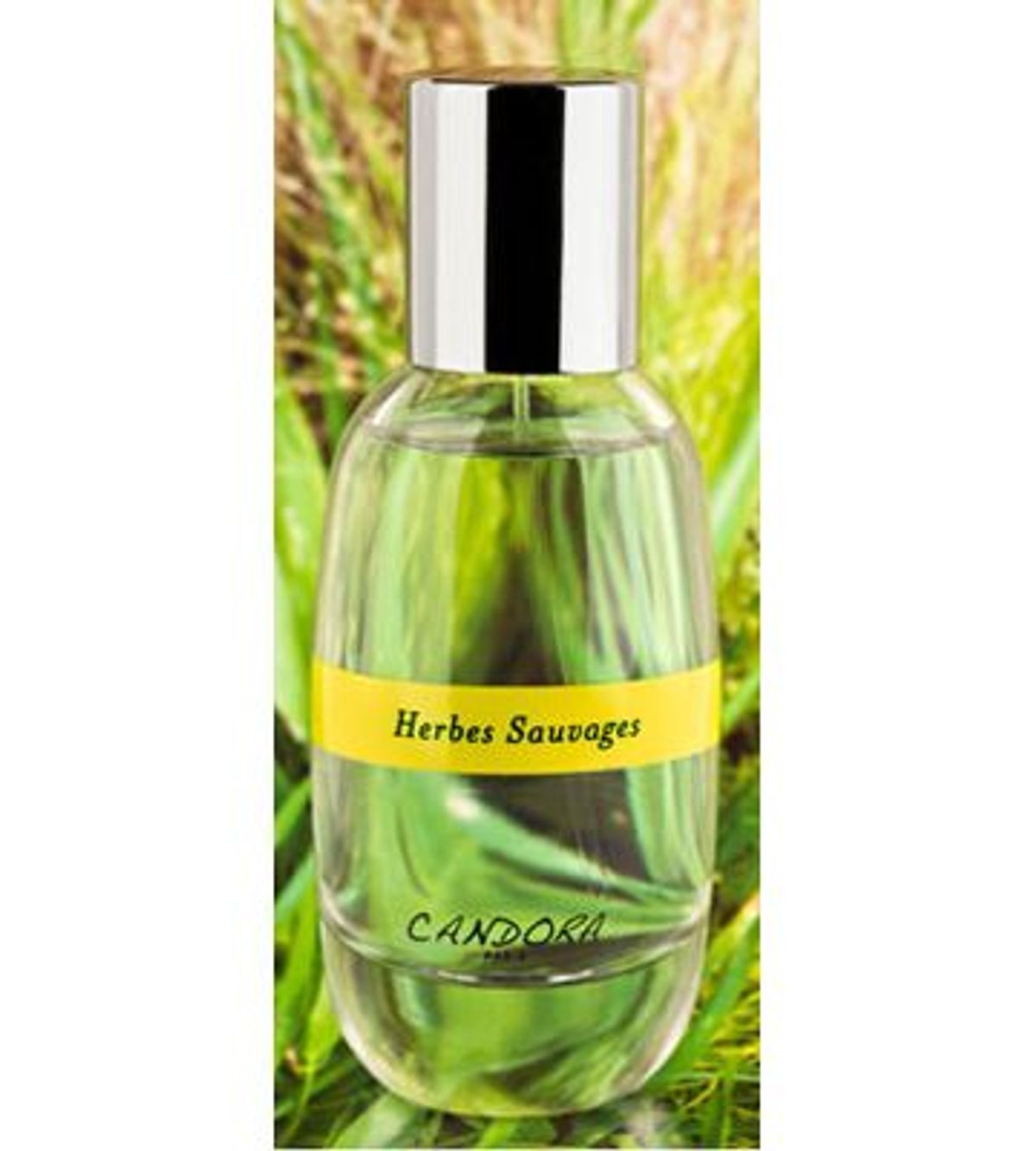Herbes Sauvage