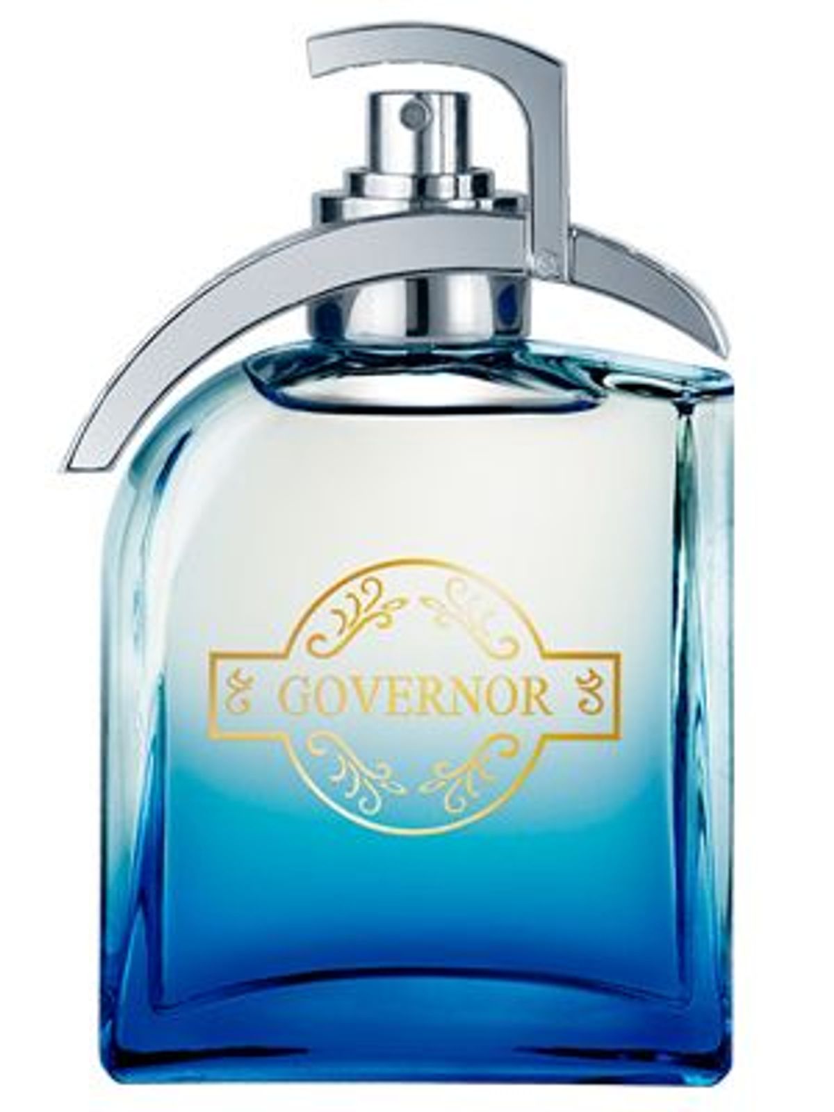 Governor