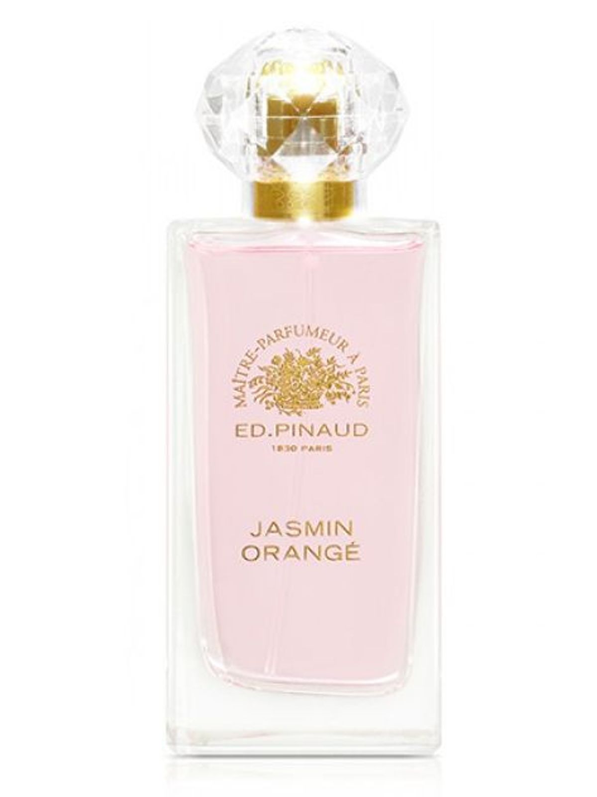 Jasmin Orangé