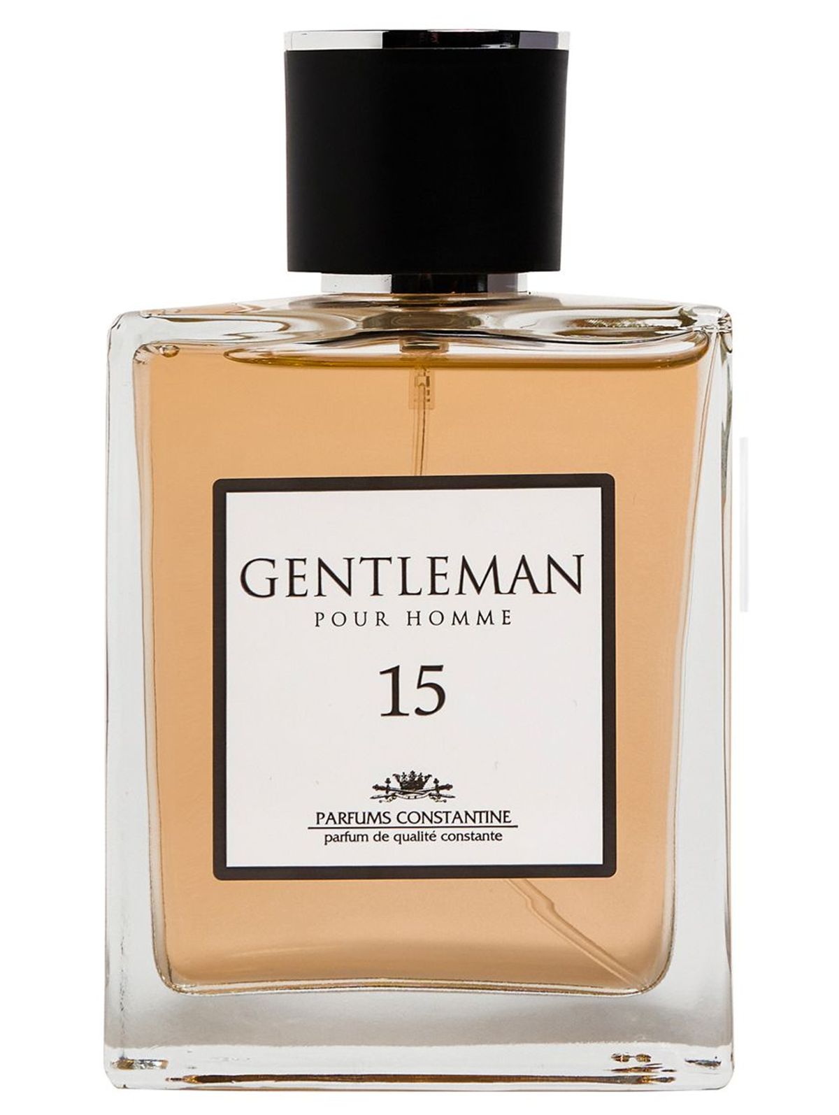 Gentleman N. 15