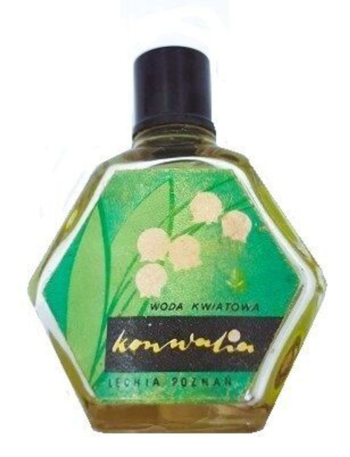Konwalia