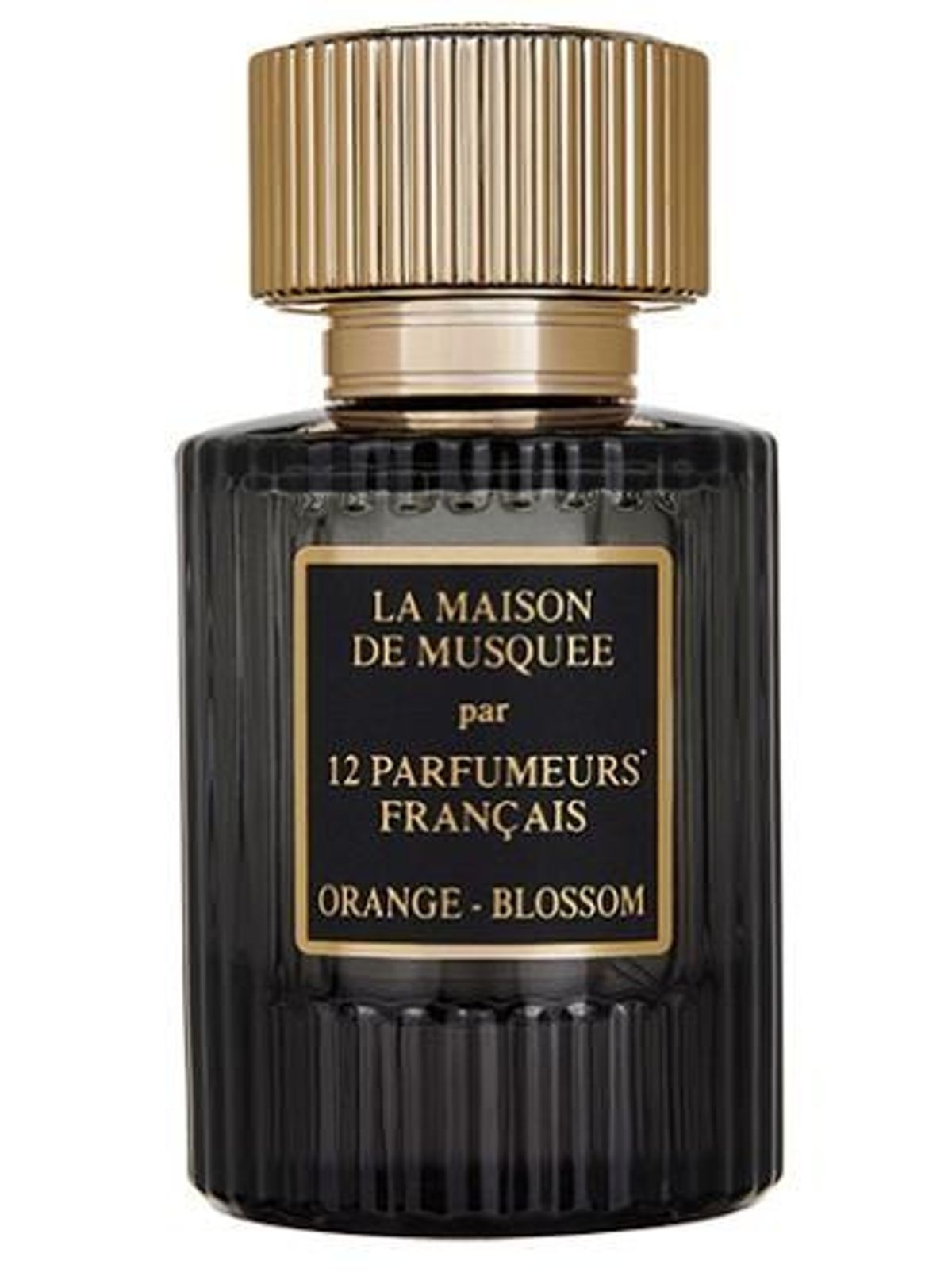 Orange Blossom