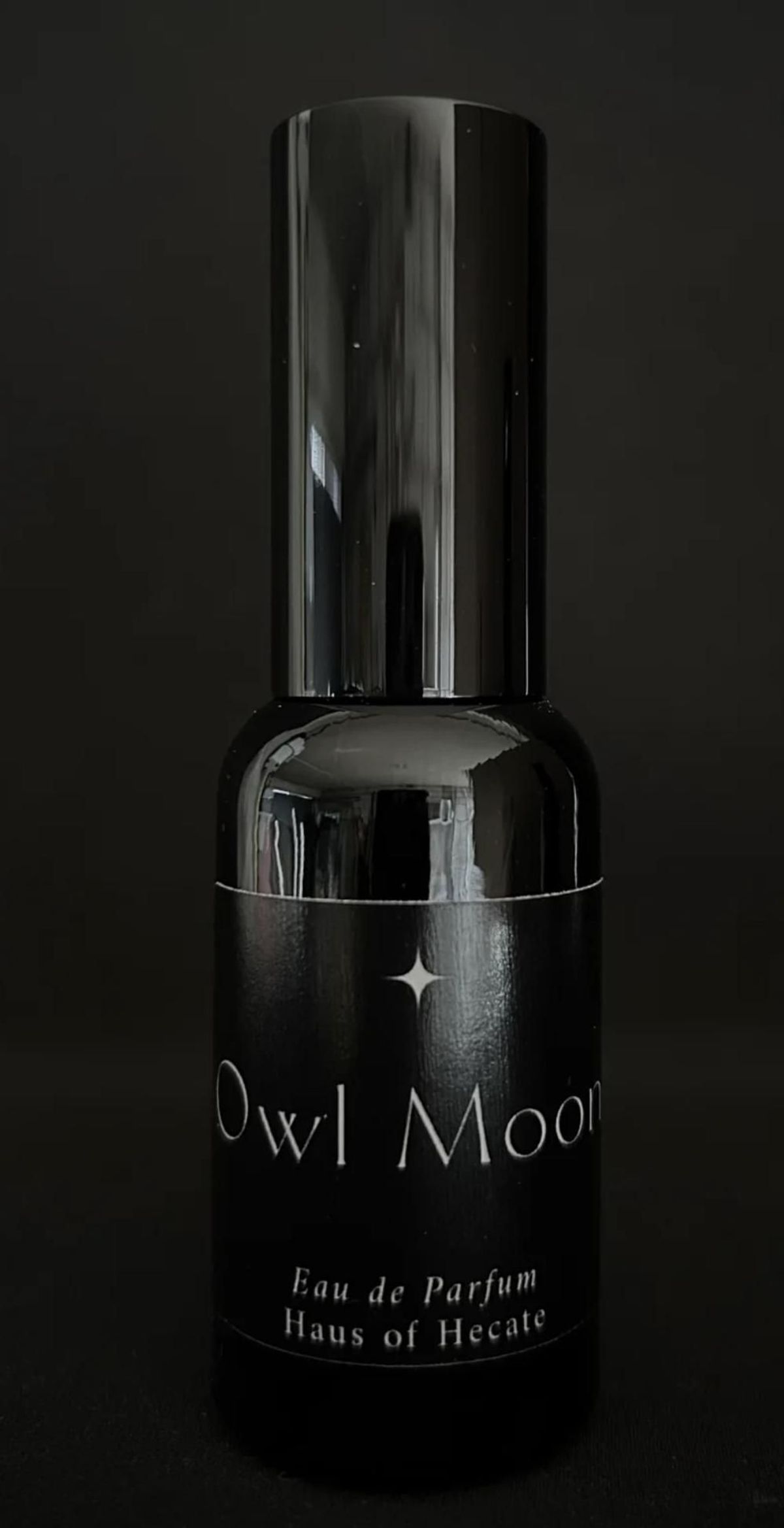 Owl Moon