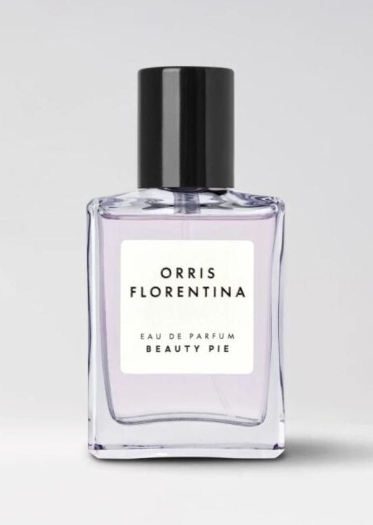 Orris Florentina