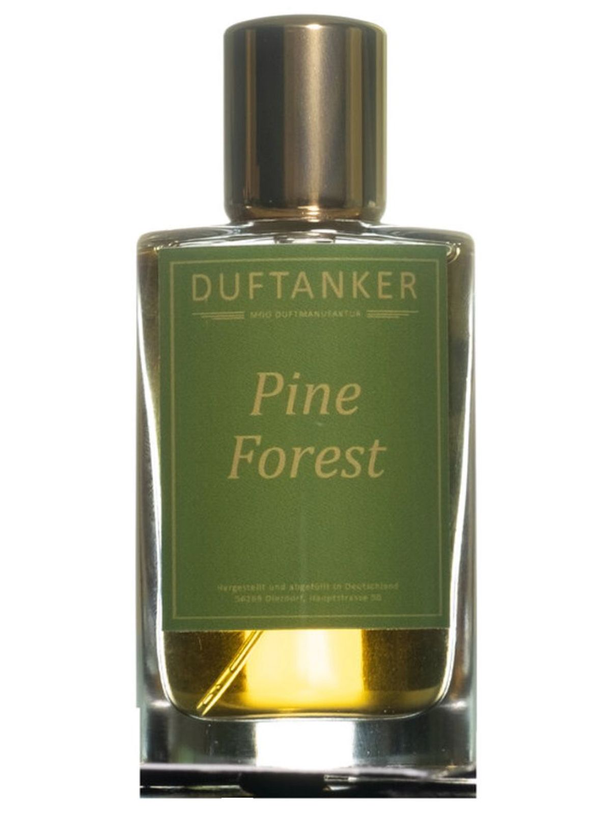 Pine Forest