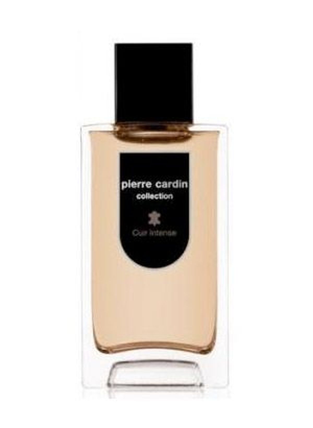 Pierre Cardin Collection Cuir Intense