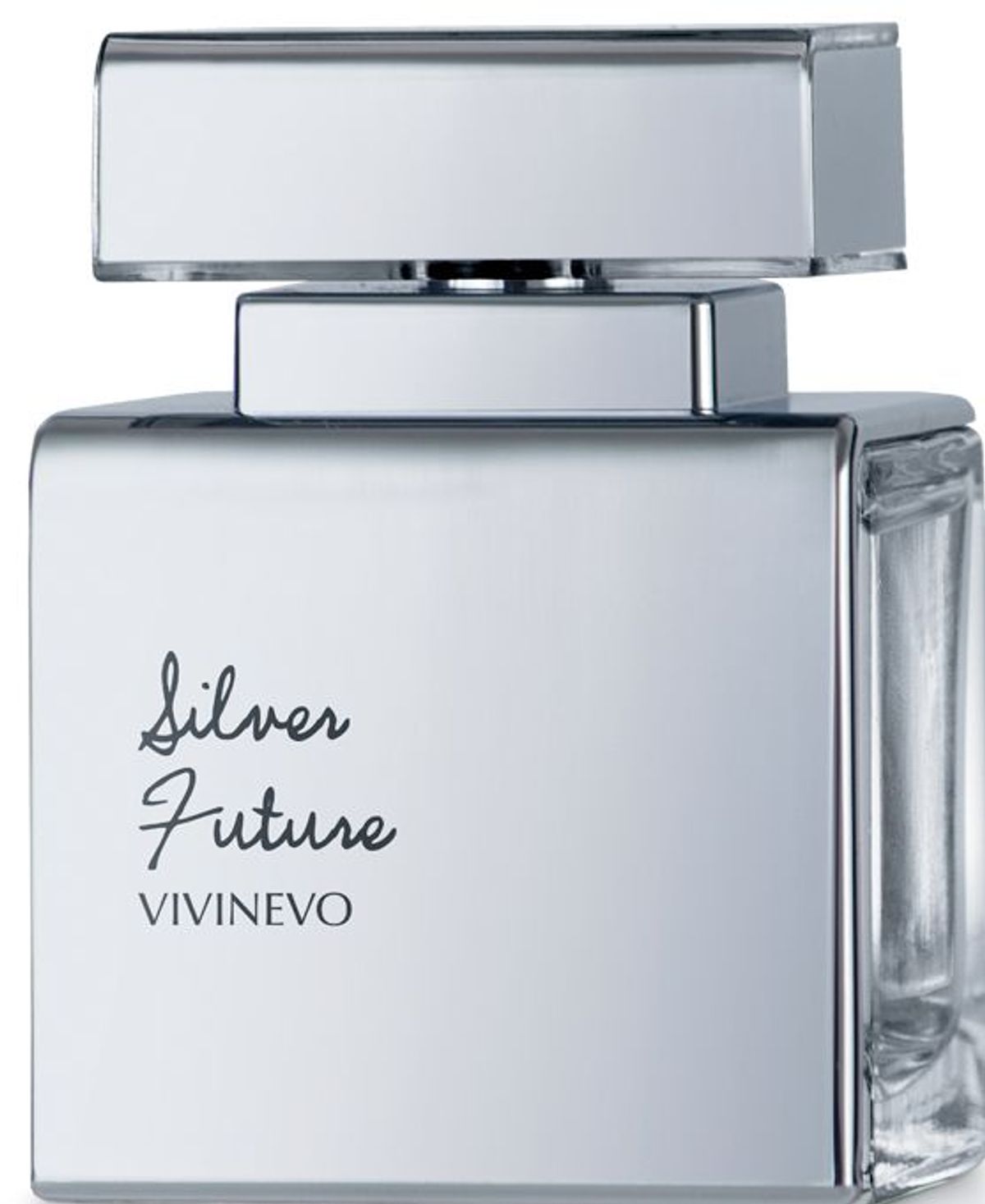 Silver Future