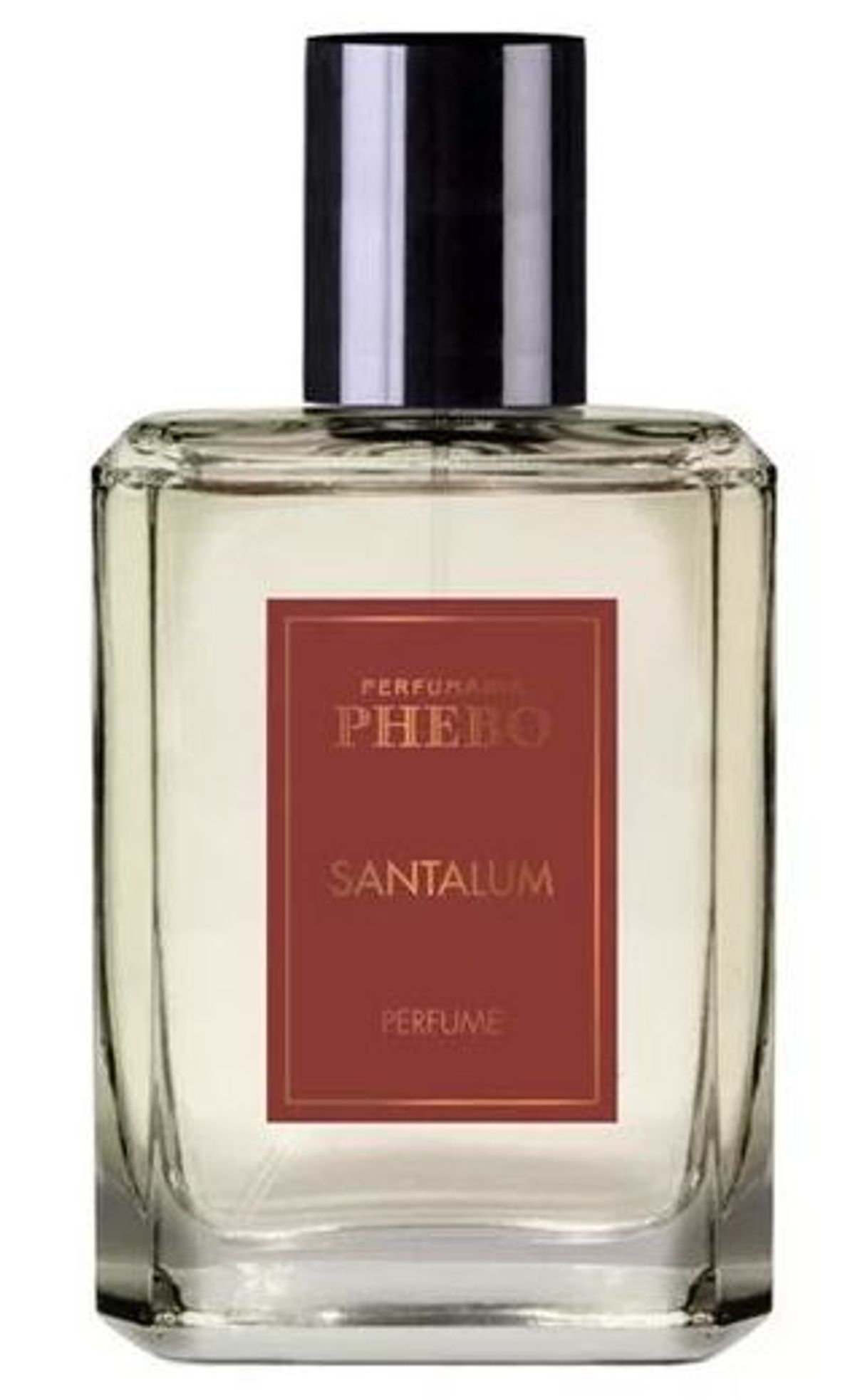 Santalum