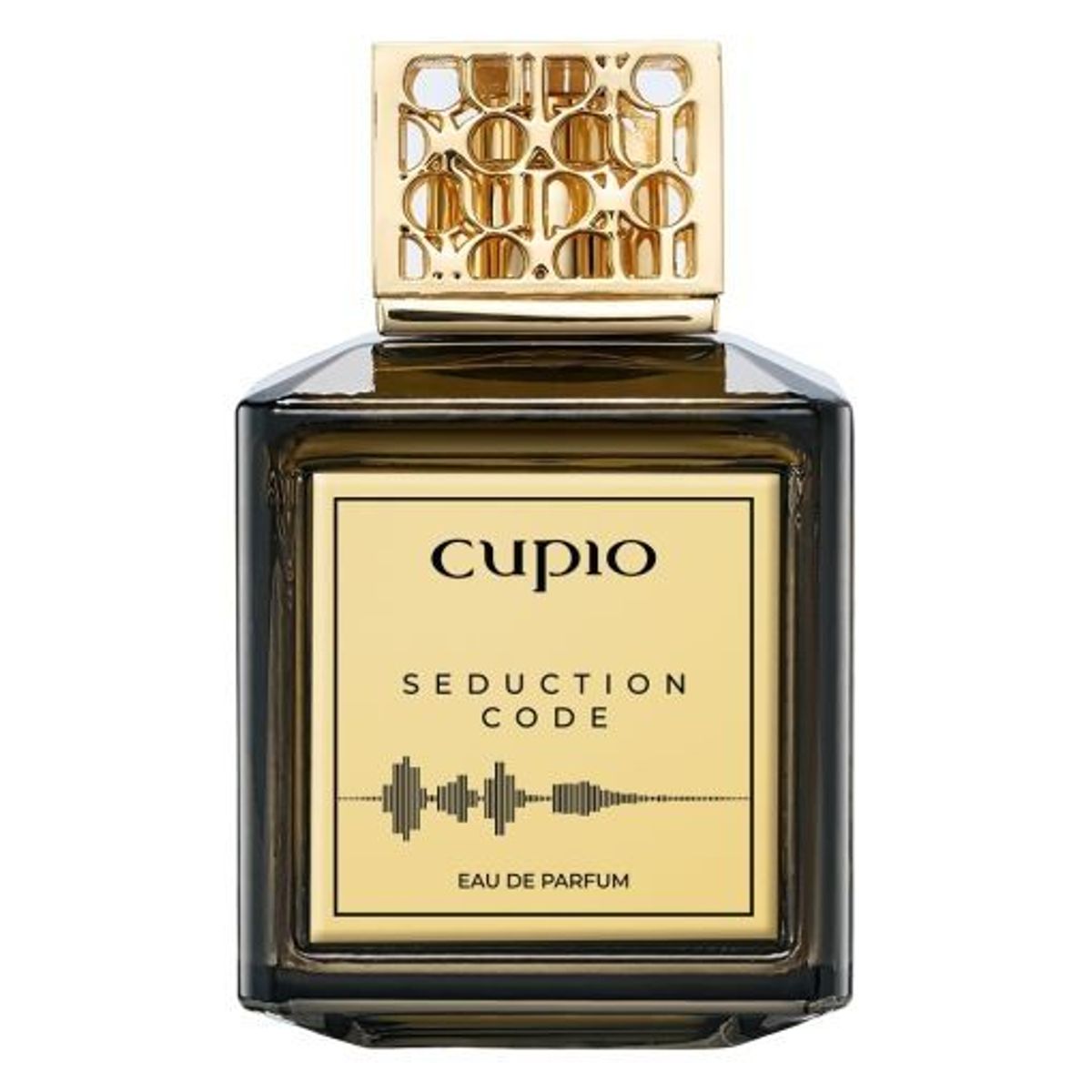 Seduction Code