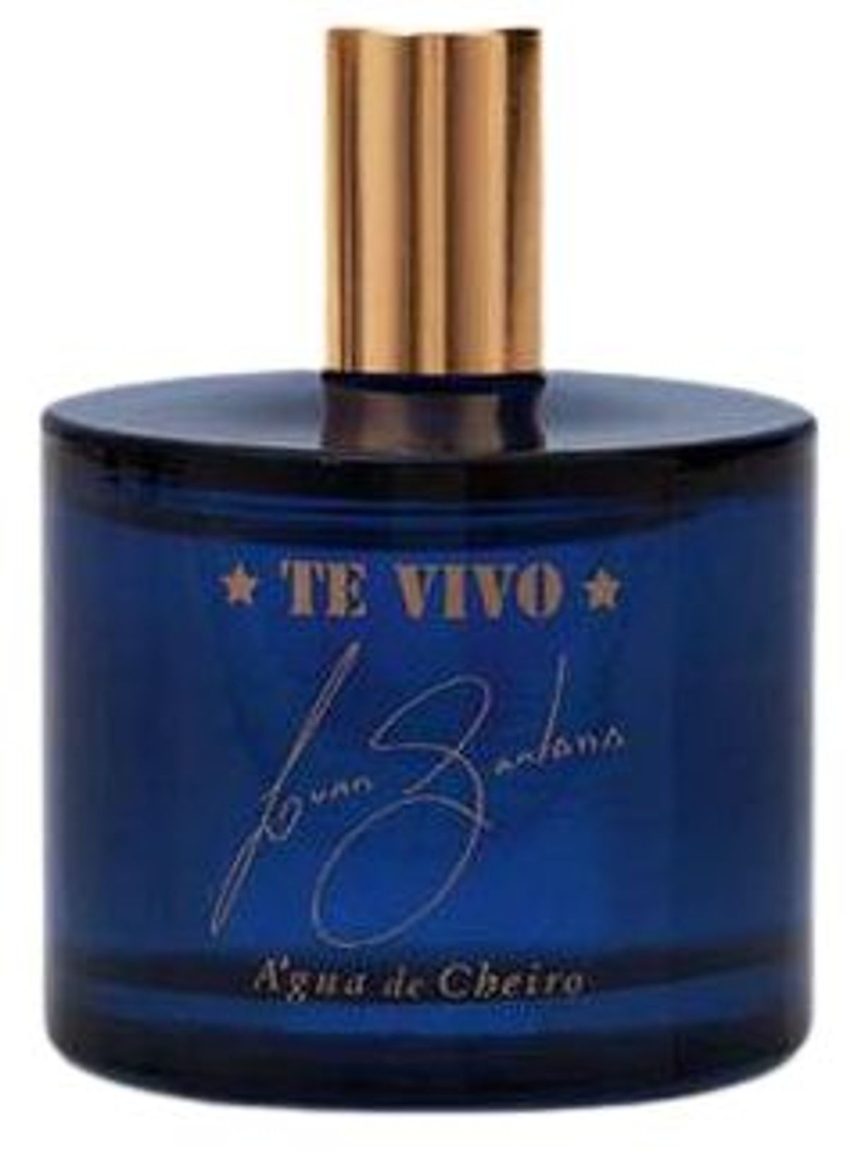 Te Vivo Luan Santana