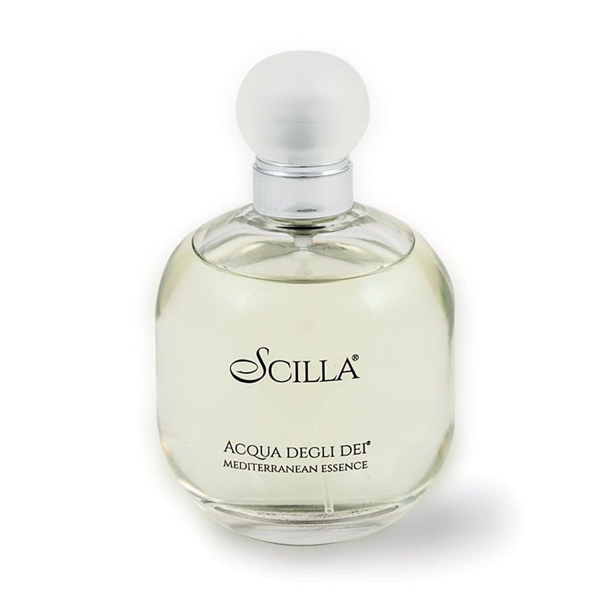 Scilla