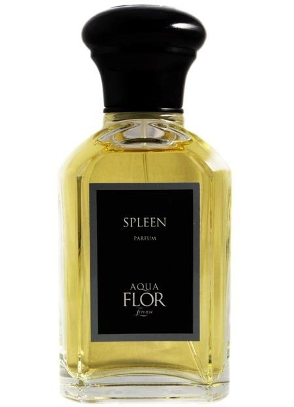 Spleen