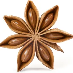 Hoa Hồi