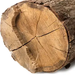 Gỗ khô