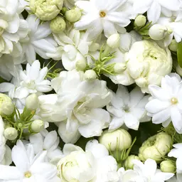 Hợp chất hương