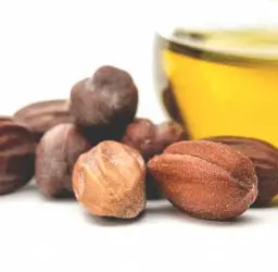 Hạt Jojoba