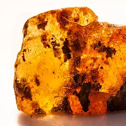 Hương gỗ, hổ phách