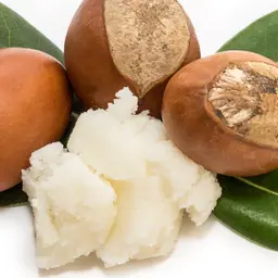Bơ hạt mỡ