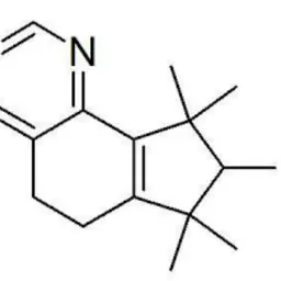 Xạ hương