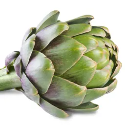 Atisô
