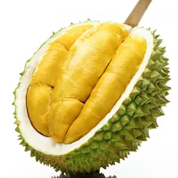 Sầu riêng