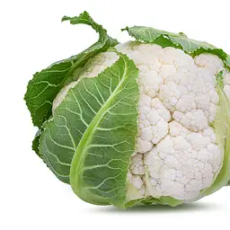 Súp lơ