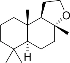 long diên hương nhân tạo