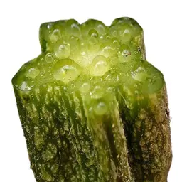 Nhựa cây