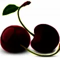 Cherry Đen
