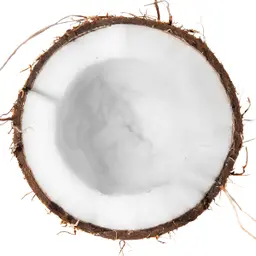 Dừa