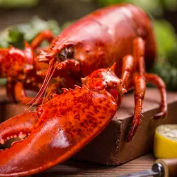 Động vật giáp xác