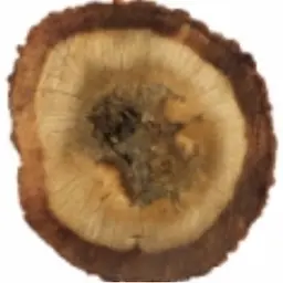 Trầm Hương Việt Nam