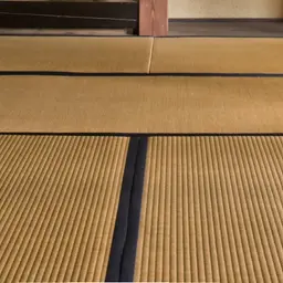 Chiếu tatami