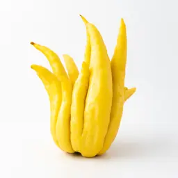 Phật thủ