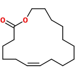 Xạ hương thực vật