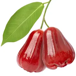 Quả Roi