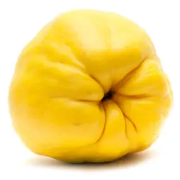 Quả mộc qua