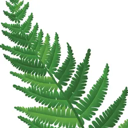 Cây dương xỉ