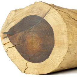Gỗ cẩm lai