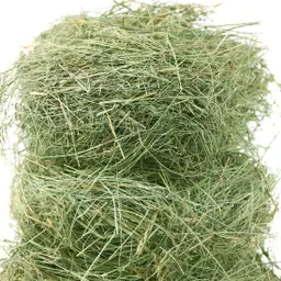 Cỏ khô