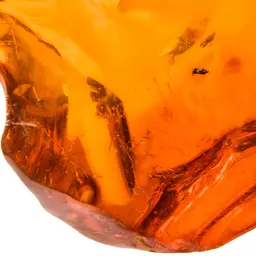 Hương Kephalis