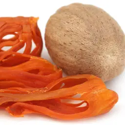 Hoa Nhục Đậu Khấu