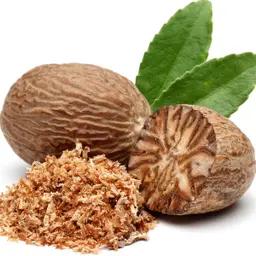 Nhục đậu khấu