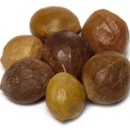 Cây Kumbaru