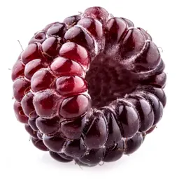 Quả Dewberry