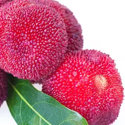 Quả Dương Mai Quả Dương Mai