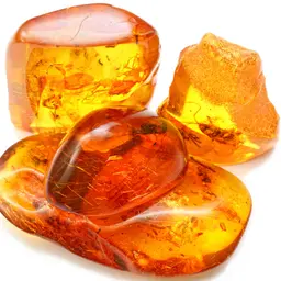 Xạ hương thực vật