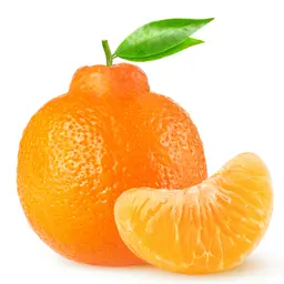 Quả quýt